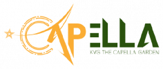 LOGO-22